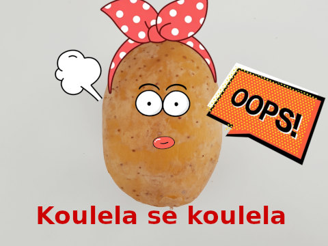 Koulela se ze dvora takhle velká brambora