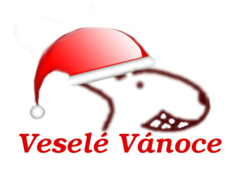 Vánoční koledy